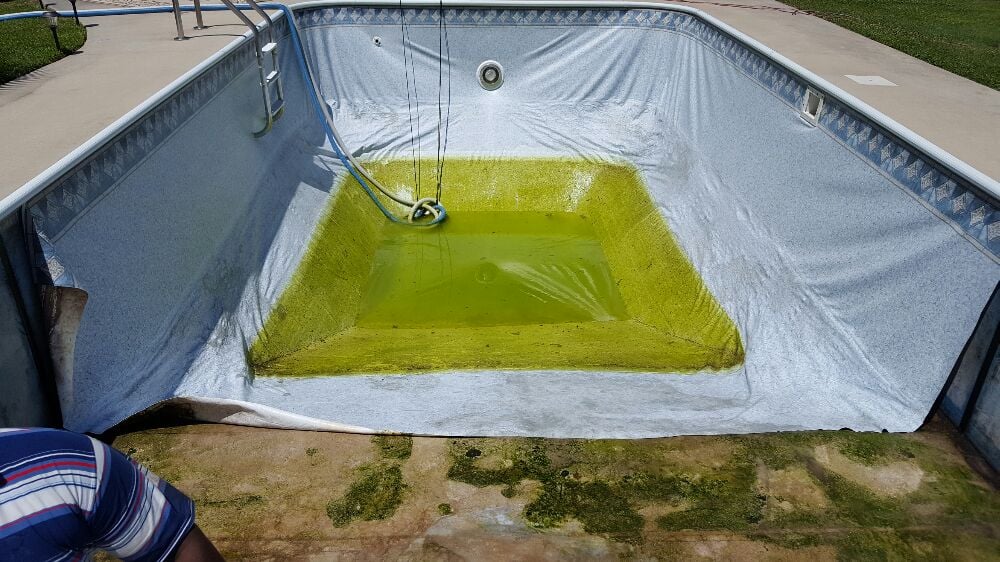 Immaculate Pools & Spas