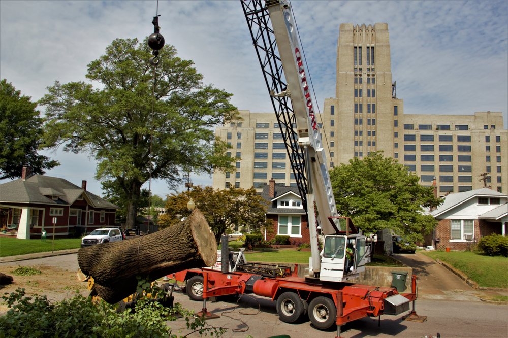 Harrison Tree Service