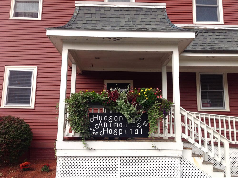 Hudson Animal Hospital 10 Photos & 11 Reviews Veterinarians 30