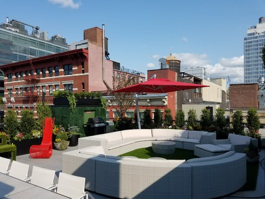 New York Plantings Irrigation