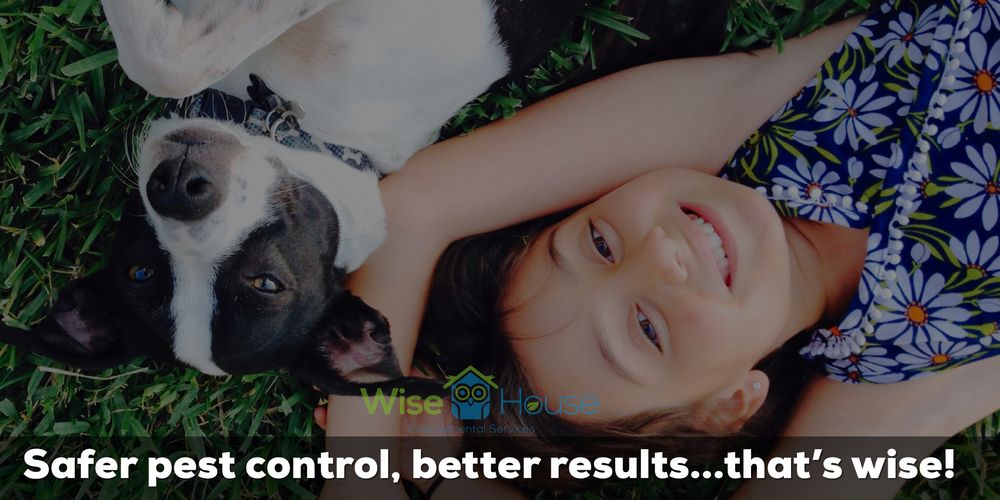Wise House Environmental Services