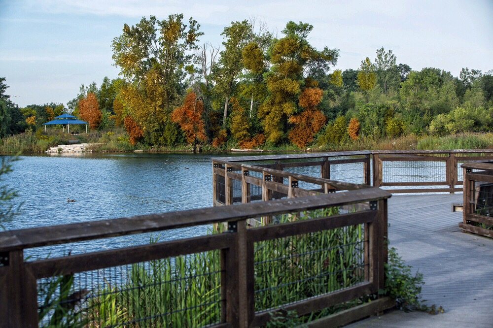 Three Oaks Recreation Area 137 Photos & 28 Reviews Beaches 5517