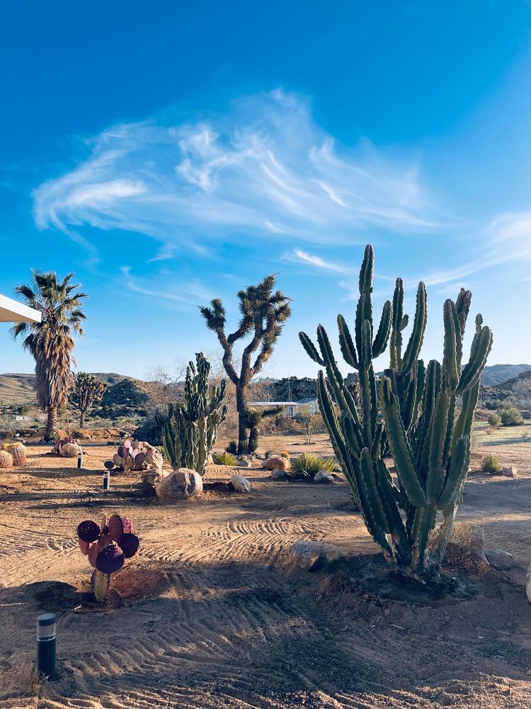 Silver Dollar Cactus Nursery