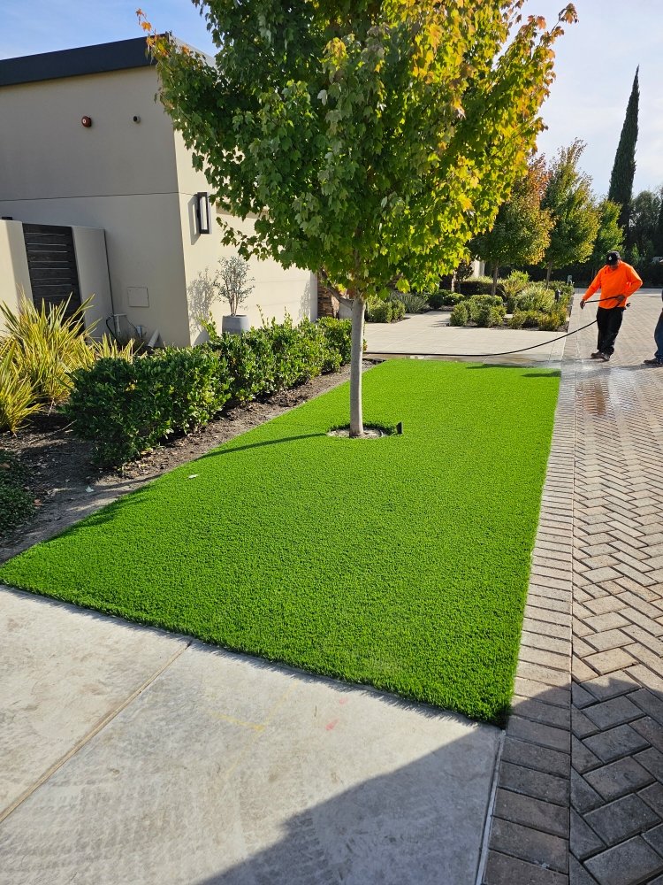 Alberto's Landscape Services