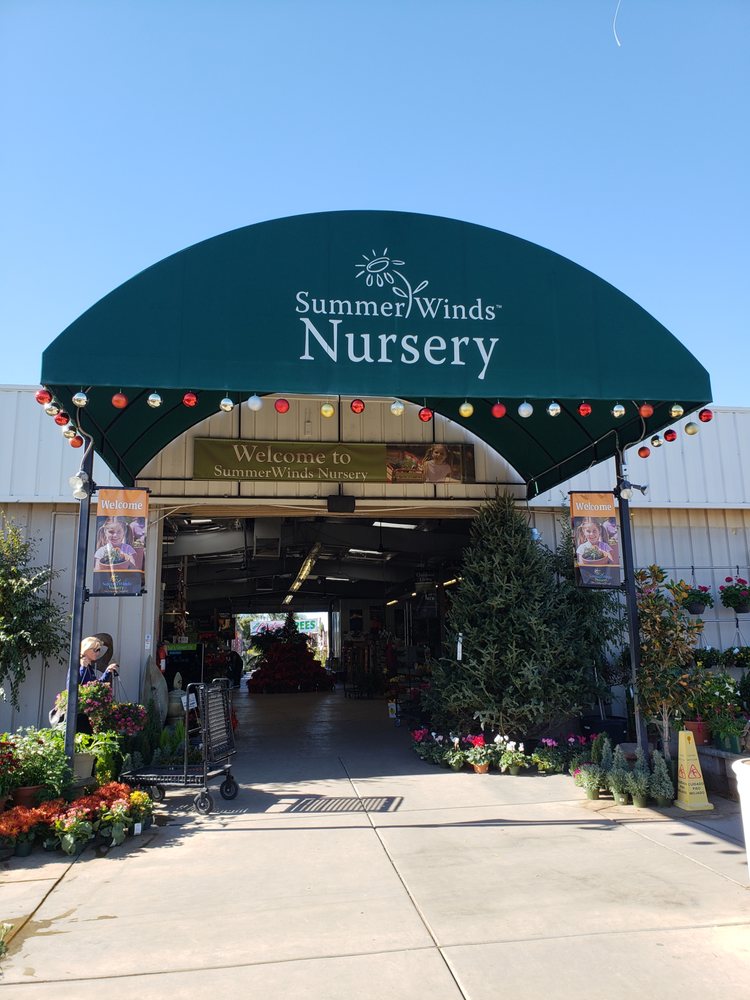 Summerwinds Nursery Tatum 36 Photos 44 Reviews Nurseries Summerwinds Nursery Tatum 36 Photos 44 Reviews Nurseries Gardening 17826 N Blvd Phoenix Az Phone Number Yelp