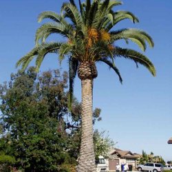 Palm Patrol Pressure Washers 180 White Cap Way Panama City Photo Of Palm Patrol Panama City Beach Fl United States Quoted 90
