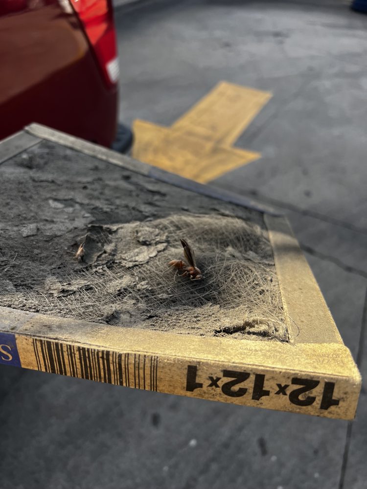 image of business Davis Temp Control