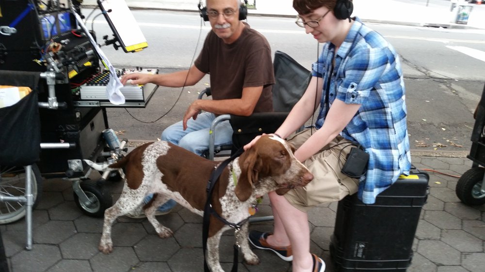 Pet Cab NYC