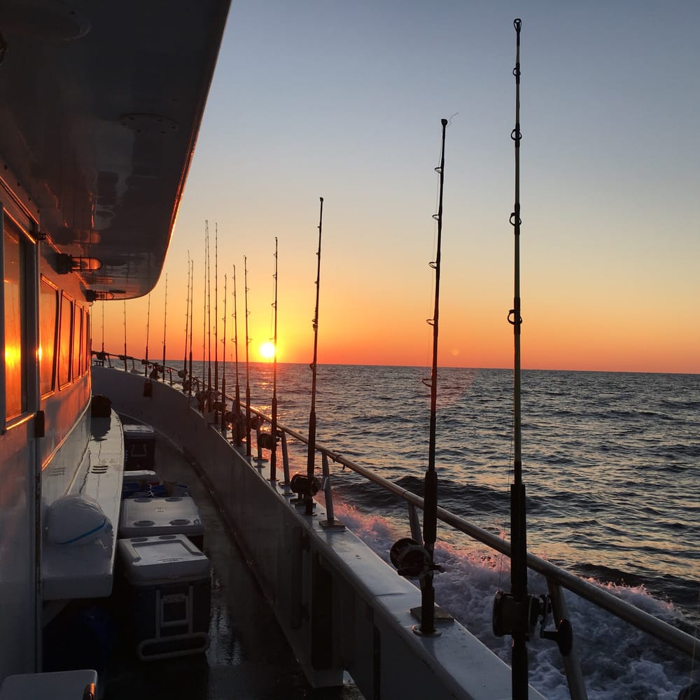 Photos for Rudee Tours Yelp