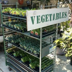 Merced Gardens and Nursery - 15 Photos - Nurseries & Gardening - 1007