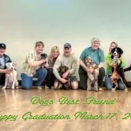 Dog S Best Friend Redondo Beach Dog S Best Friend Redondo Beach