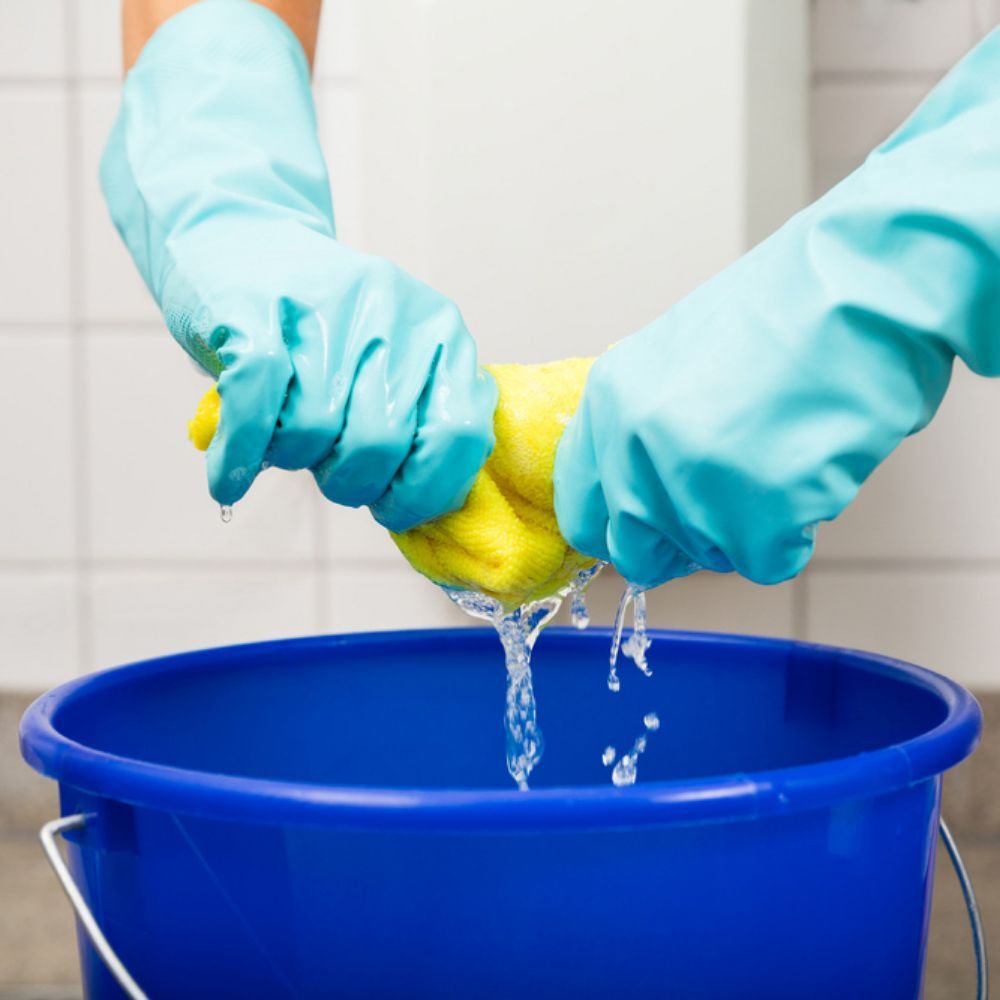 Alexa House Cleaning