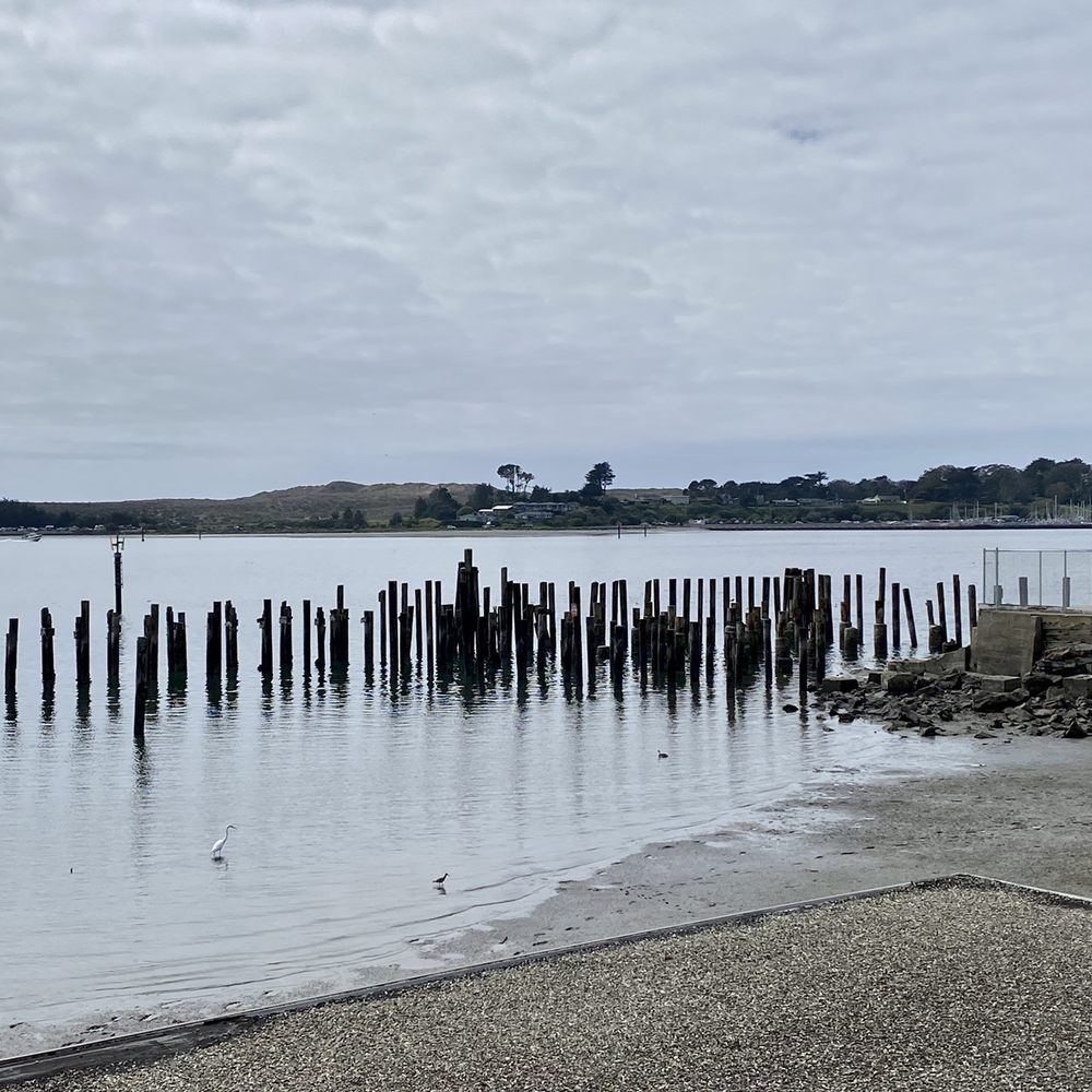 Things to Do on a Day Trip to Bodega Bay Yelp
