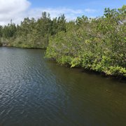 Round Island Park 11 Photos Parks 2201 Hwy A1a Vero Beach Fl Photo Of Round Island Park Vero Beach Fl United States