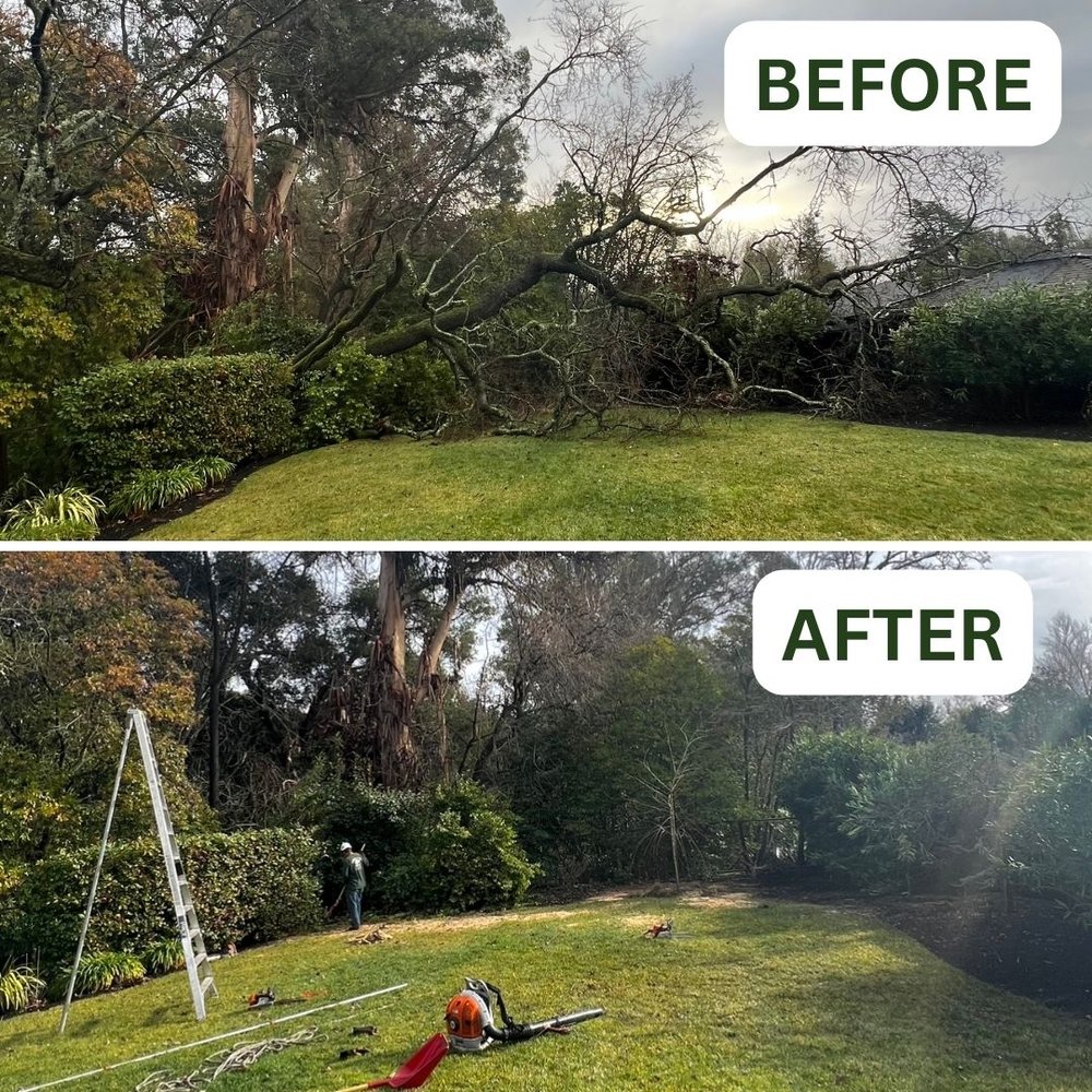 Green Lane Tree Service