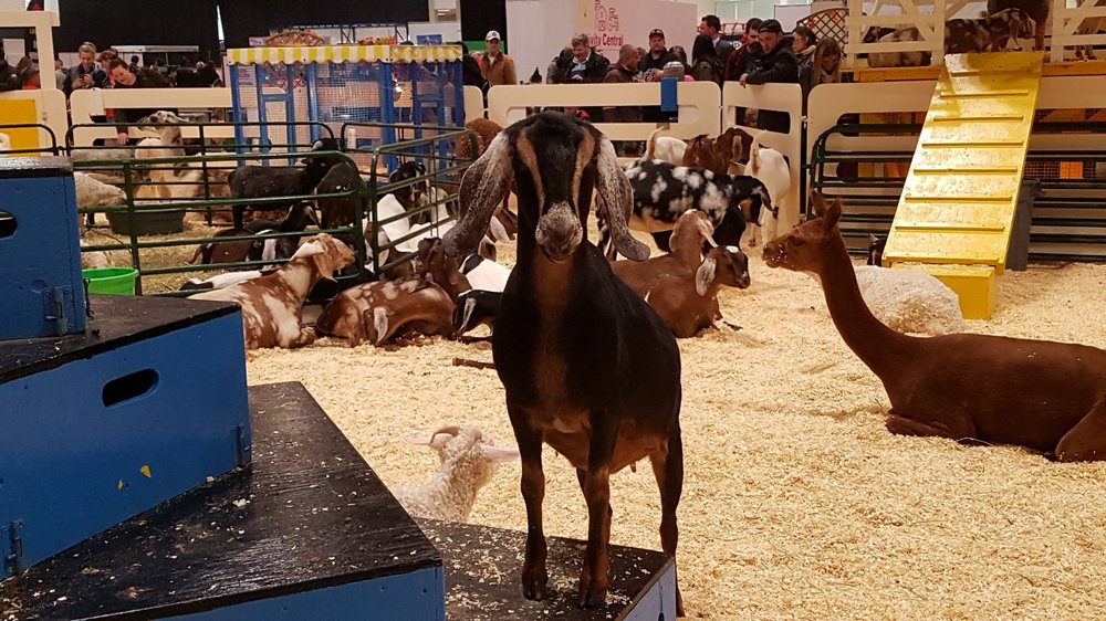 The Royal Agricultural Winter Fair