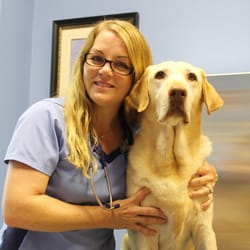 Bergheim Pet Hospital & Clinic photo