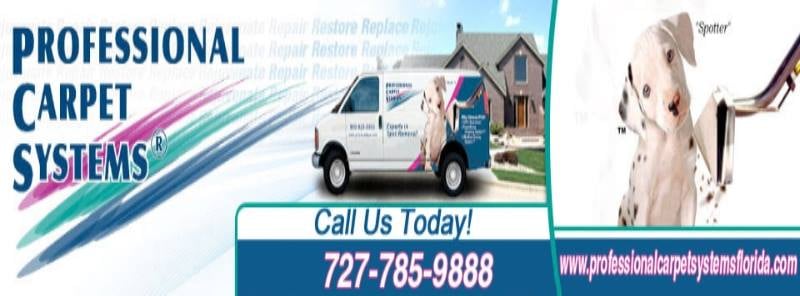 Professional Carpet Systems