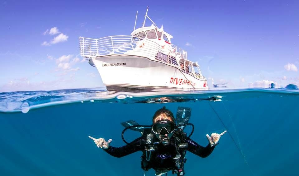 Dive Oahu 204 Photos & 216 Reviews Snorkeling 609 Keawe St