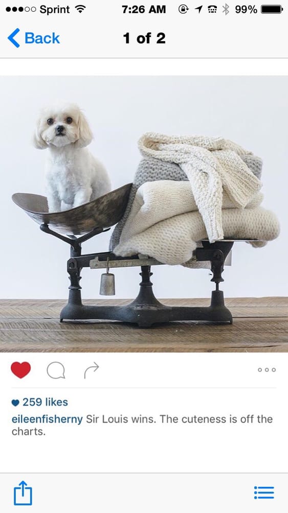 Best Friends Dog Grooming Scarsdale Ny Best Friends Dog Grooming Scarsdale Ny