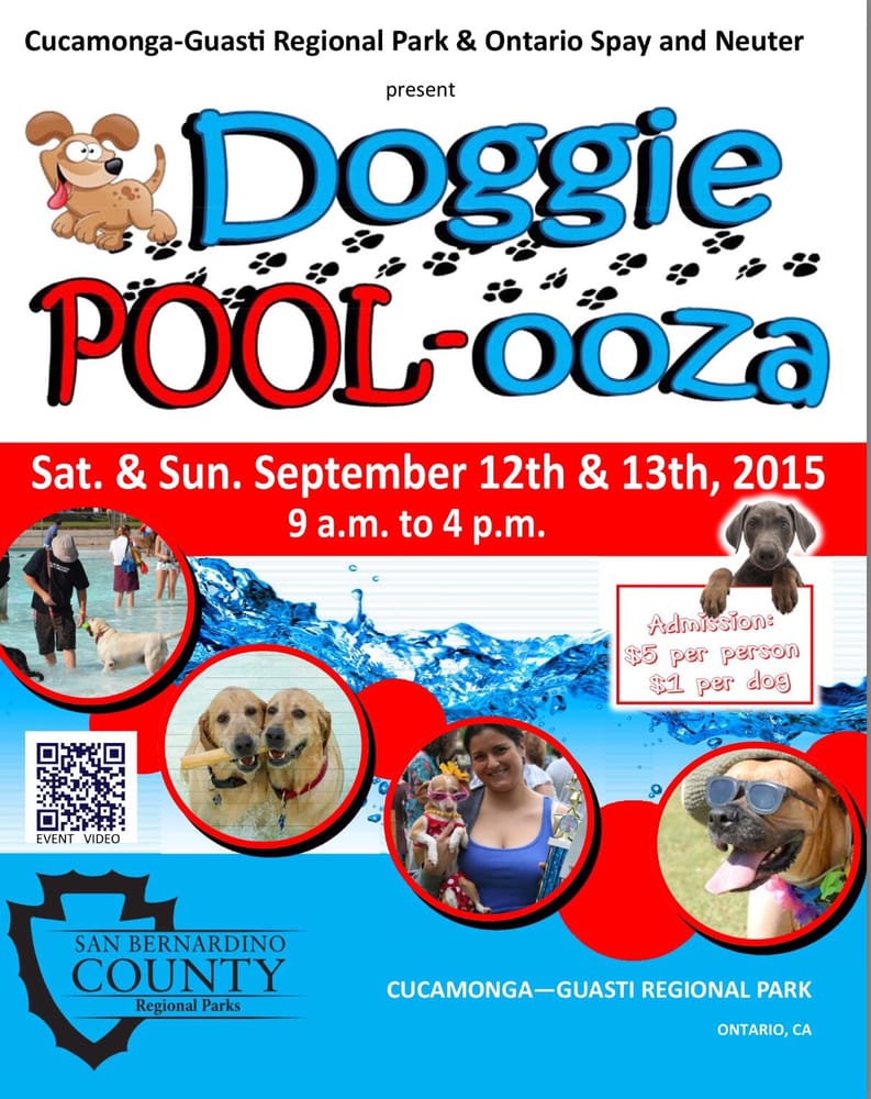 Doggie Poolooza