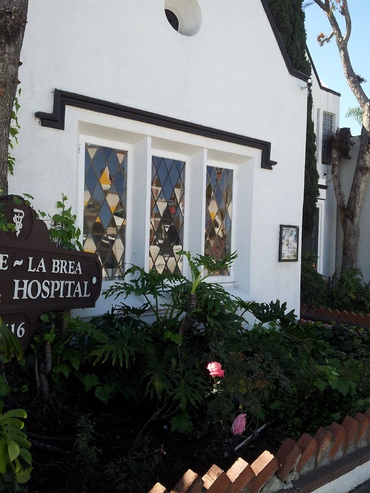 Melrose La Brea Animal Hospital 41 Photos & 66 Reviews