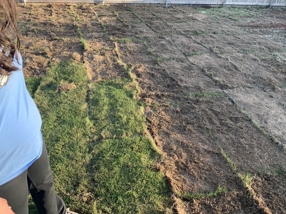 Kyle Corbin Landscaping