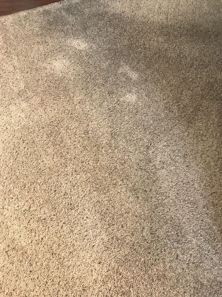 Rojas Carpet & Installation