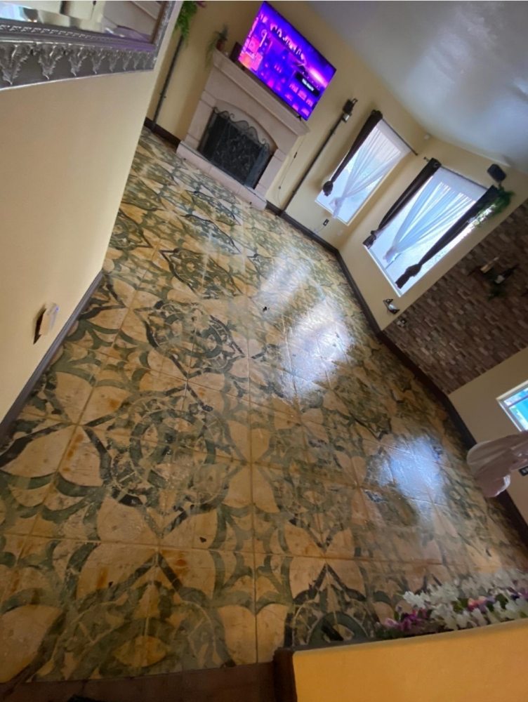 Carpet Monkey