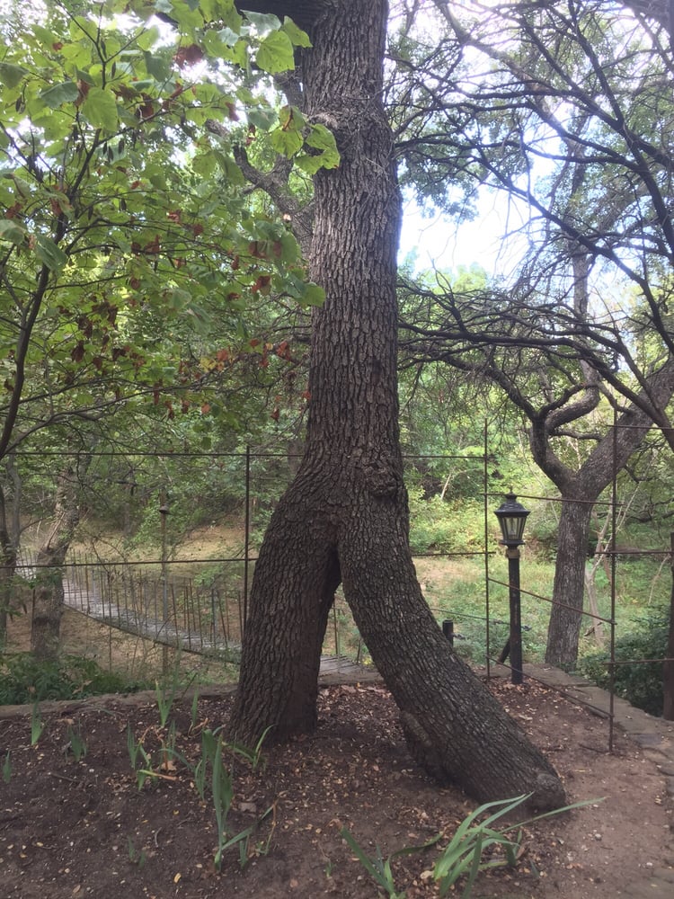 Weston Gardens In Bloom 21 Photos Nurseries & Gardening 8101