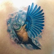 blue rose tattoo 50 photos tattoo 1402 memorial pkwy nw blue rose tattoo 50 photos tattoo 1402 memorial pkwy nw