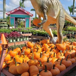 Flamingo Road Nursery The Best 729 Photos 158 Reviews Photo Of Flamingo Road Nursery Davie Fl United States