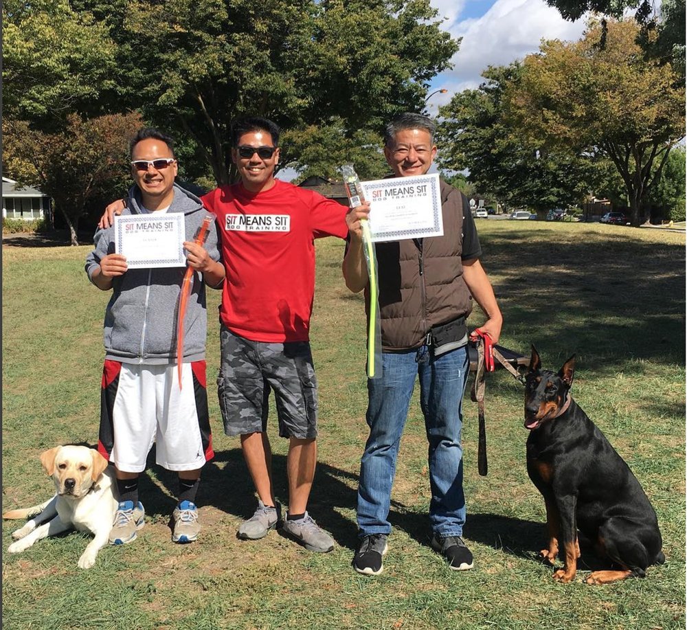 Karate for your dogs! Sit Means Sit offers a DOJO course to help ... | Dog Training San Jose Ca
Karate for your dogs! Sit Means Sit offers a DOJO course to help ... | Dog Training San Jose Ca