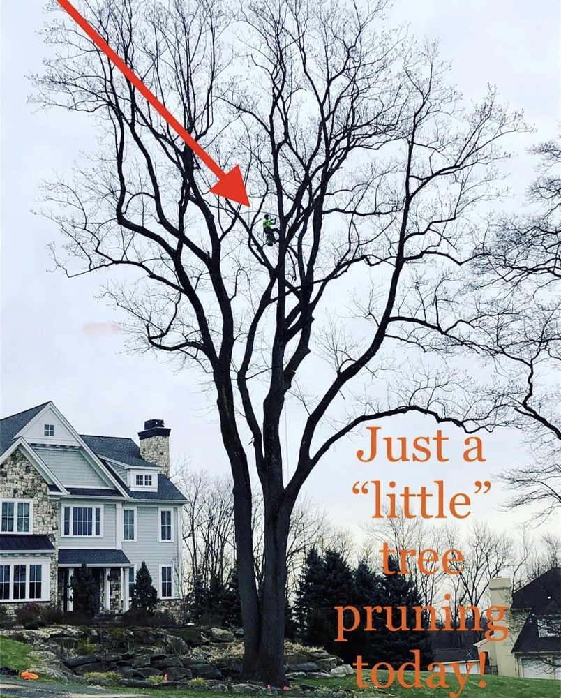 Affordable Towing and Roadside Assistance