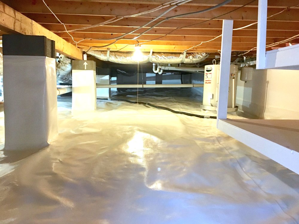 Eco-Friendly Remediation