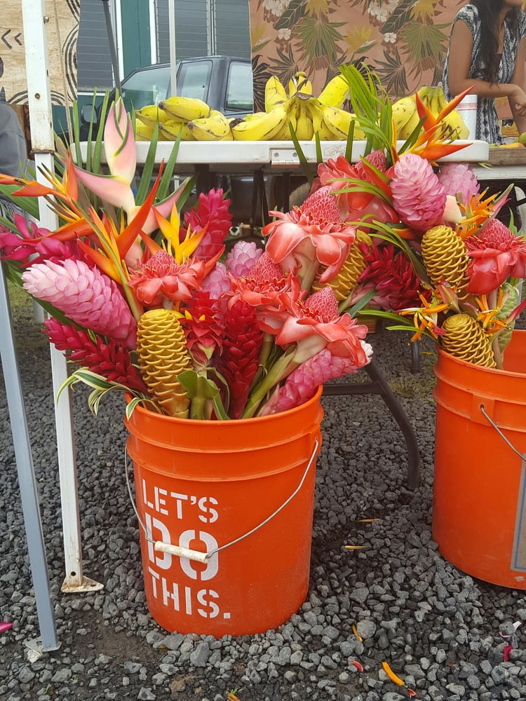 Hanelei Farmer’s Market 34 Photos & 52 Reviews Farmers Market