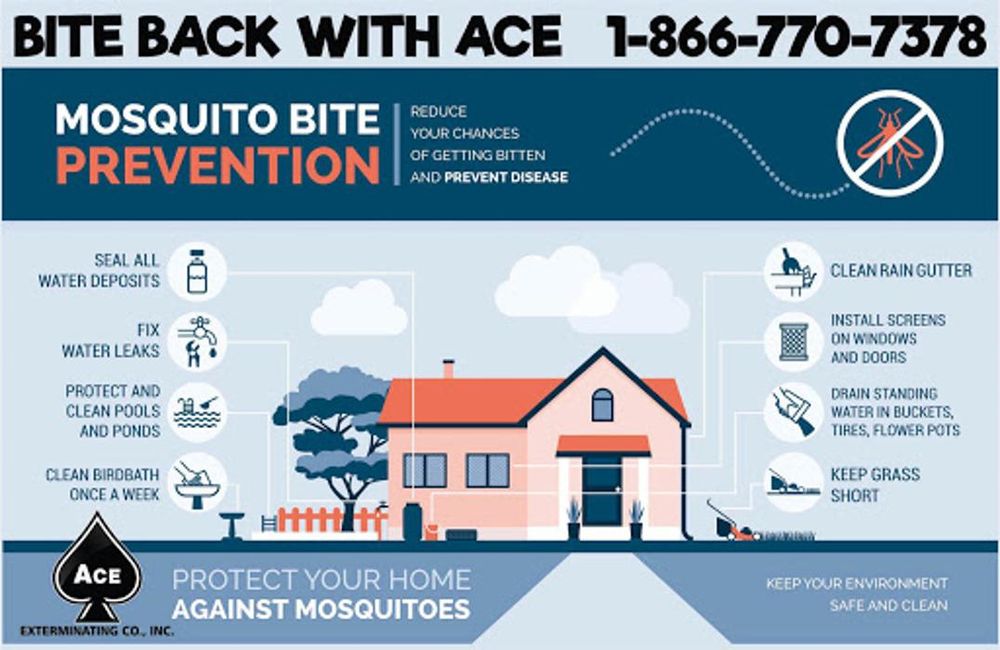 Ace Exterminating