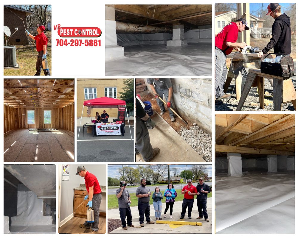 image of business Mr. Pest Control
