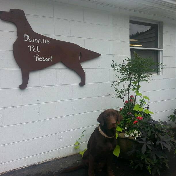 Danville Pet Resort Pet Sitting 215 Ash St, Danville, VA Phone
