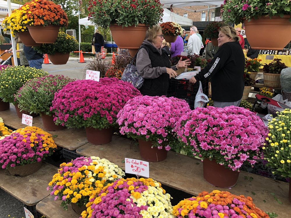 Pleasantville Farmers Market - Outdoor