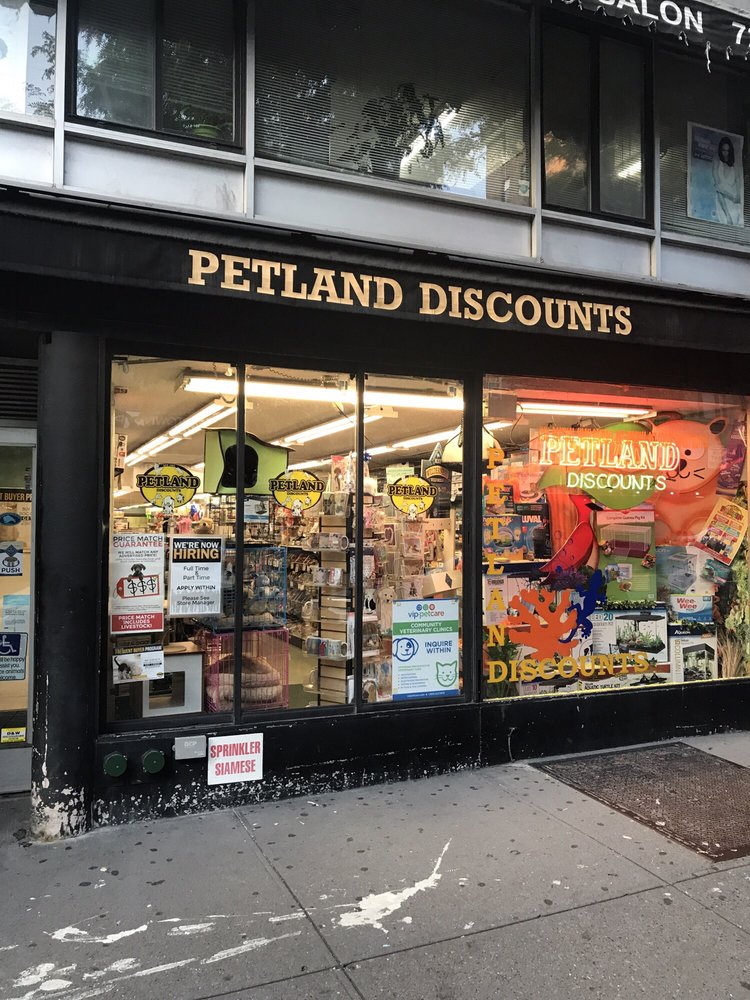 Petland Discounts 18 Reviews Pet Stores 137 W 72nd St, Upper West
