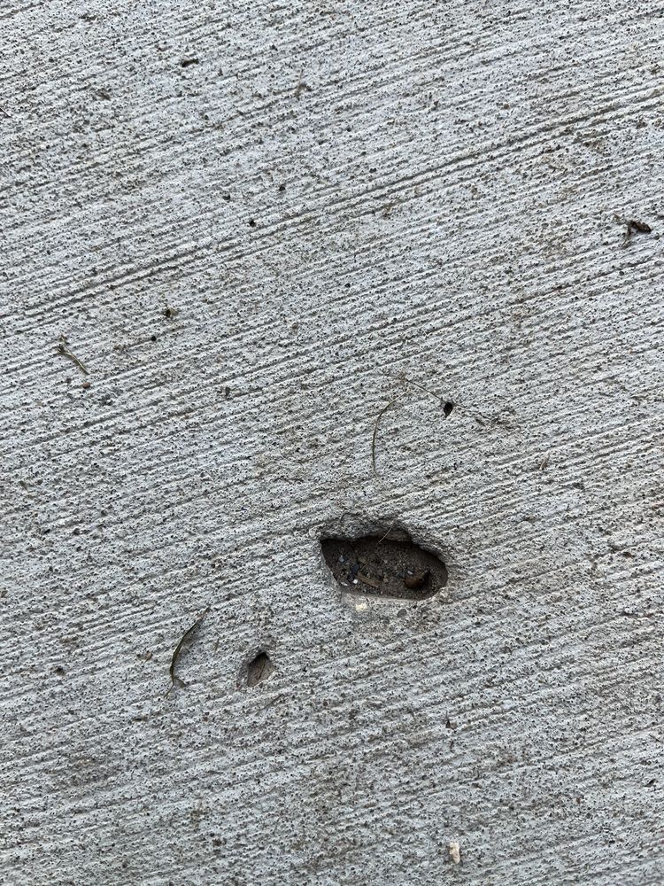 image of business ART of Concrete