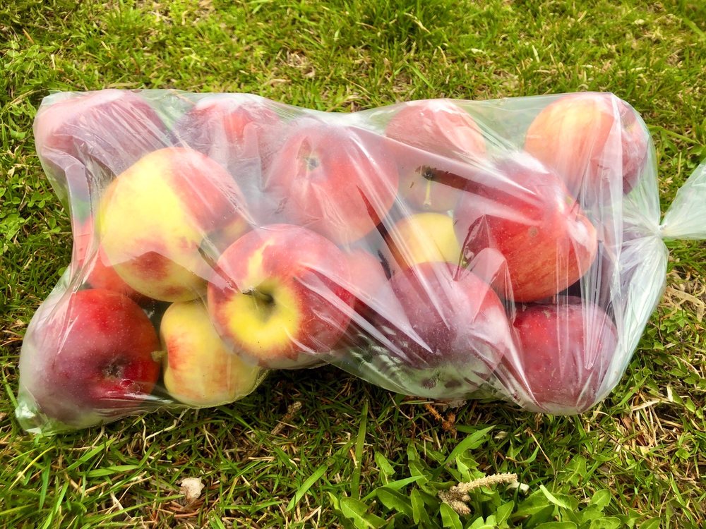 Carluke Orchards