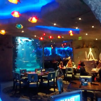 Aquarium Restaurant 533 Photos 332 Reviews Seafood 516 Photo Of Aquarium Restaurant Nashville Tn United States