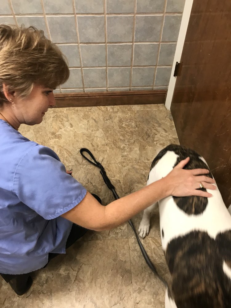 Jason Little Road Animal Clinic Aaha Veterinarians 3822 Dr