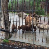Living Treasures Wild Animal Park 18 Photos 27 Reviews Zoos Photo Of Living Treasures Wild Animal Park Donegal Pa United States Mama