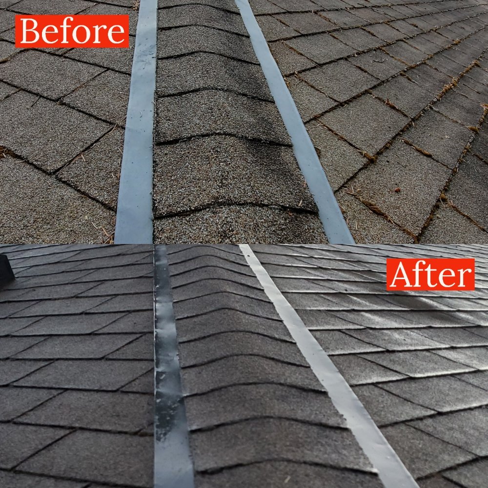 Williamson Property Maintenance