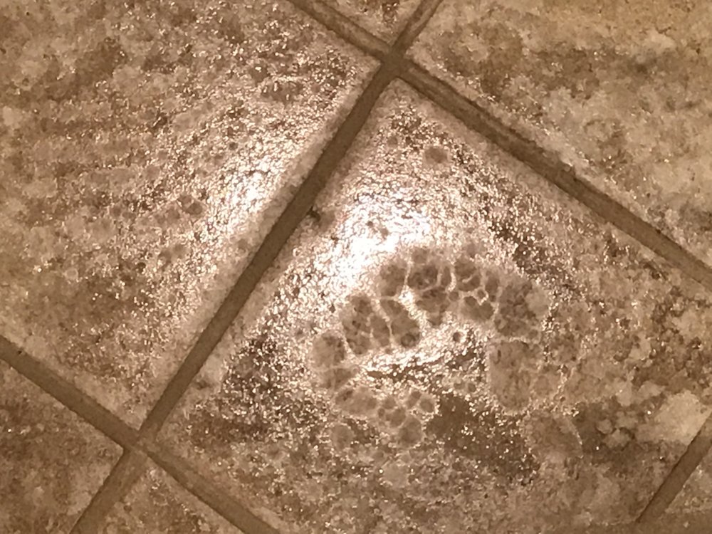 The Groutsmith