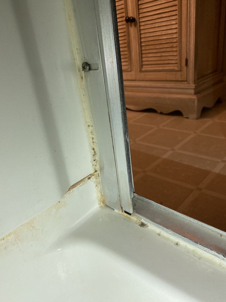 True Clean Experience