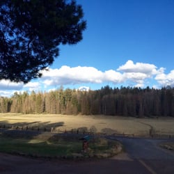 Hannagan Meadow Lodge 13 Reviews Hotels 23150 Us 191 Alpine Hannagan Meadow Lodge 13 Reviews Hotels 23150 Us 191 Alpine Az Phone Number Yelp